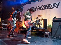 The Cribs  The Cribs in performance.
